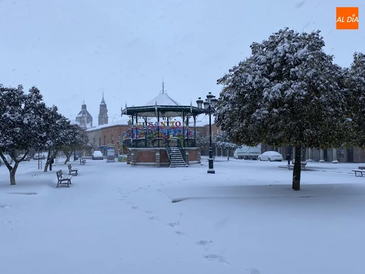 Foto 6 - El Ayuntamiento mantiene operativo especial ampliado frente a los efectos de la gran nevada