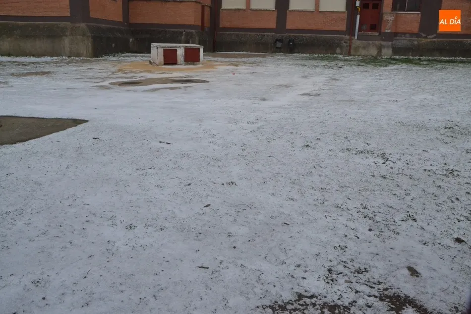 Foto 4 - Ciudad Rodrigo tambi&eacute;n amanece blanco, aunque en su l&iacute;nea habitual cuando nieva