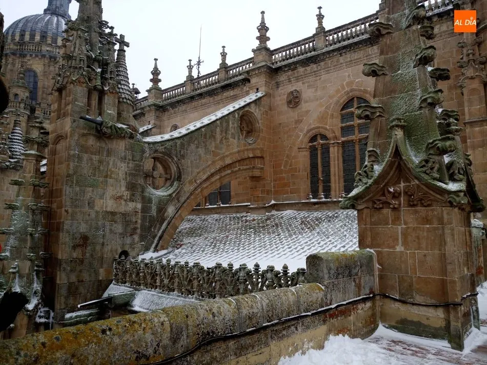 Foto 9 - Vistas de Salamanca cubierta por la nieve desde la Catedral