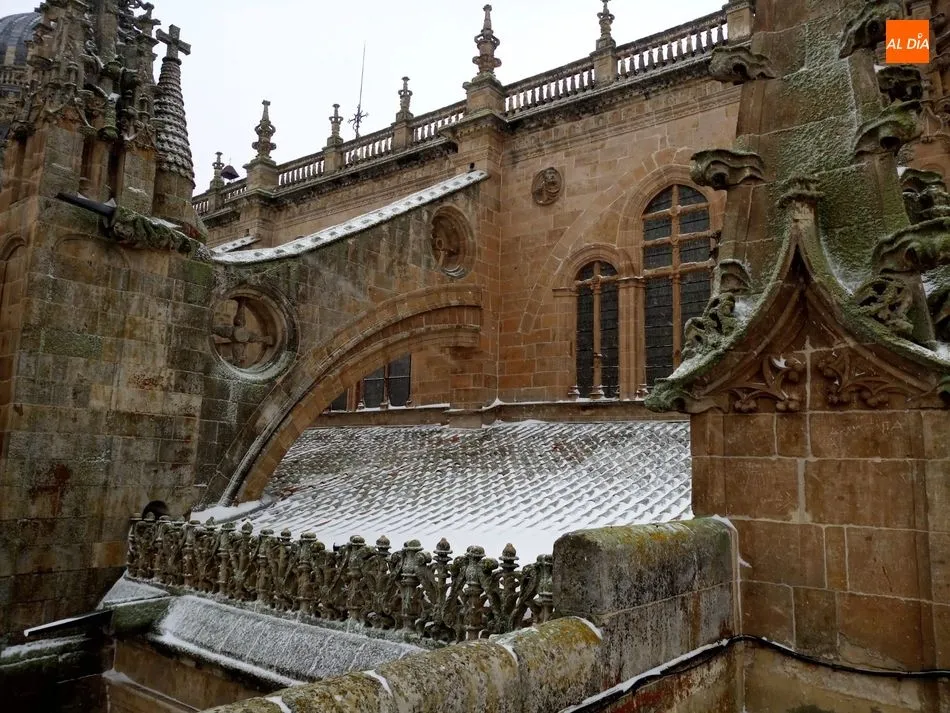 Foto 2 - Vistas de Salamanca cubierta por la nieve desde la Catedral