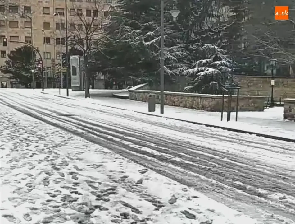 Foto 5 - El operativo de limpieza del Ayuntamiento esparce hoy 50.000 kilos de sal