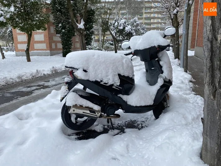 Foto 10 - La ciudad contin&uacute;a recuper&aacute;ndose de la gran nevada con un ampliado dispositivo municipal de...
