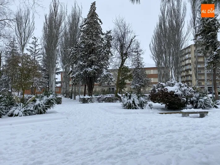 Foto 5 - La ciudad contin&uacute;a recuper&aacute;ndose de la gran nevada con un ampliado dispositivo municipal de...