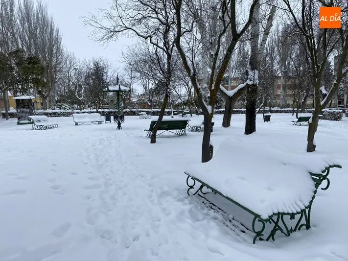 Foto 4 - La ciudad contin&uacute;a recuper&aacute;ndose de la gran nevada con un ampliado dispositivo municipal de...