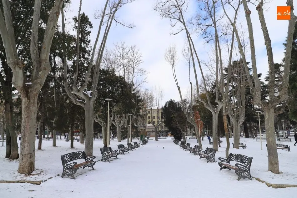 Foto 11 - La nieve sigue atrayendo al p&uacute;blico a los lugares emblem&aacute;ticos de Salamanca