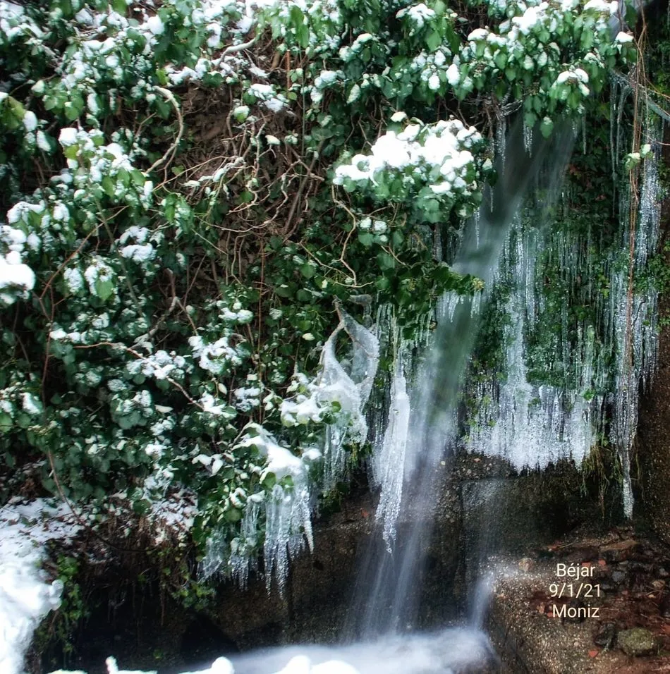 Foto 3 - La otra cara de la belleza de la nieve en la ciudad de B&eacute;jar