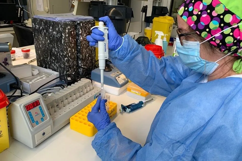 Sanidad registra 70 positivos de la cepa británica y Simón vaticina que producirá cientos de...