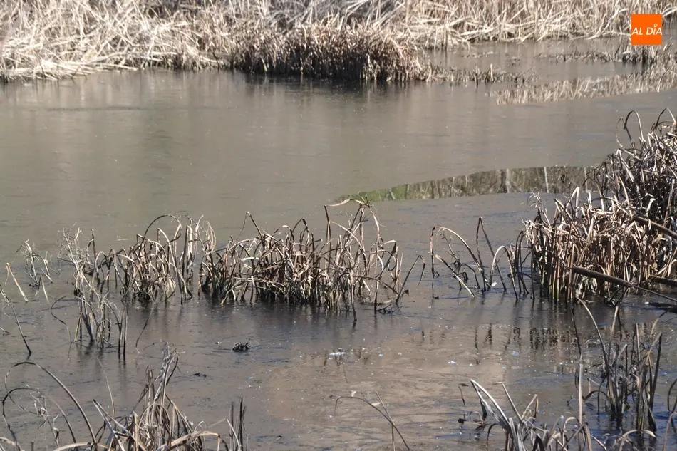 Foto 8 - El hielo gana terreno en el Canal de La Concha  