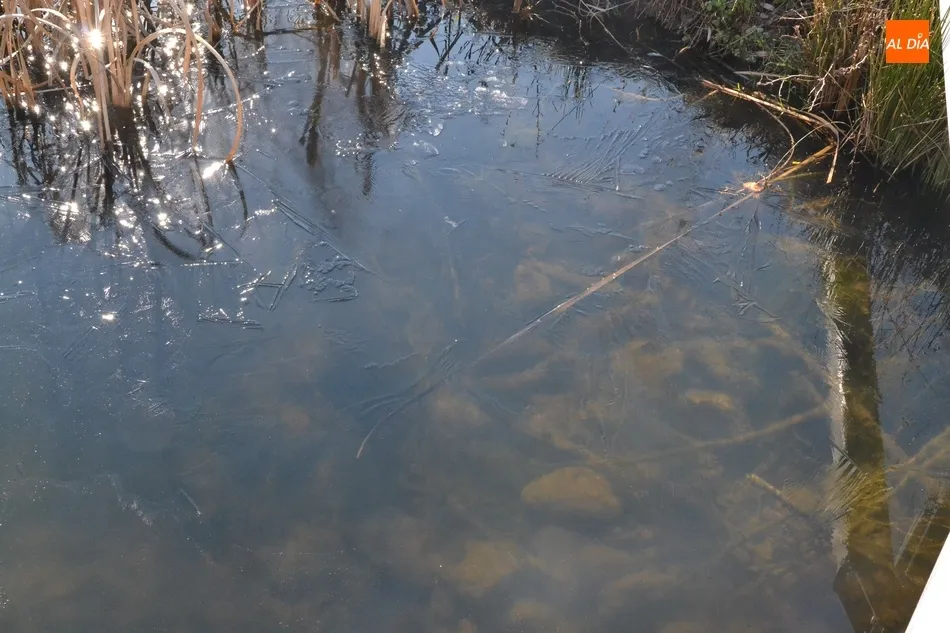 Foto 6 - El hielo gana terreno en el Canal de La Concha  