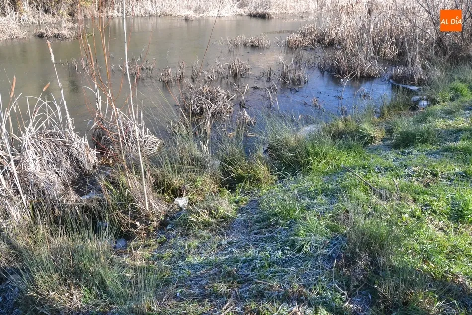 Foto 9 - El hielo gana terreno en el Canal de La Concha  