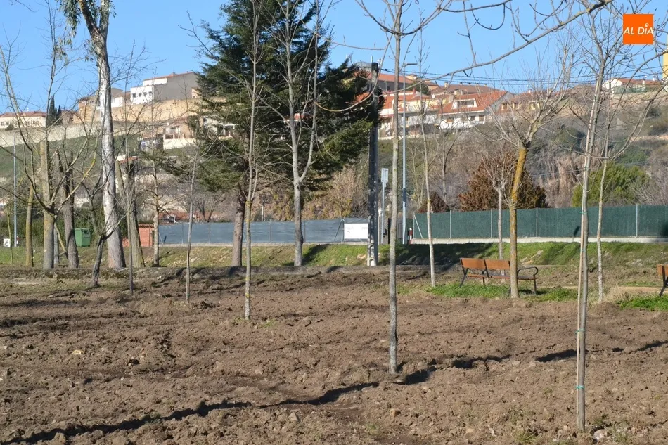 Foto 10 - Esparcidos 12 camiones de tierra vegetal por la Alameda Vieja  