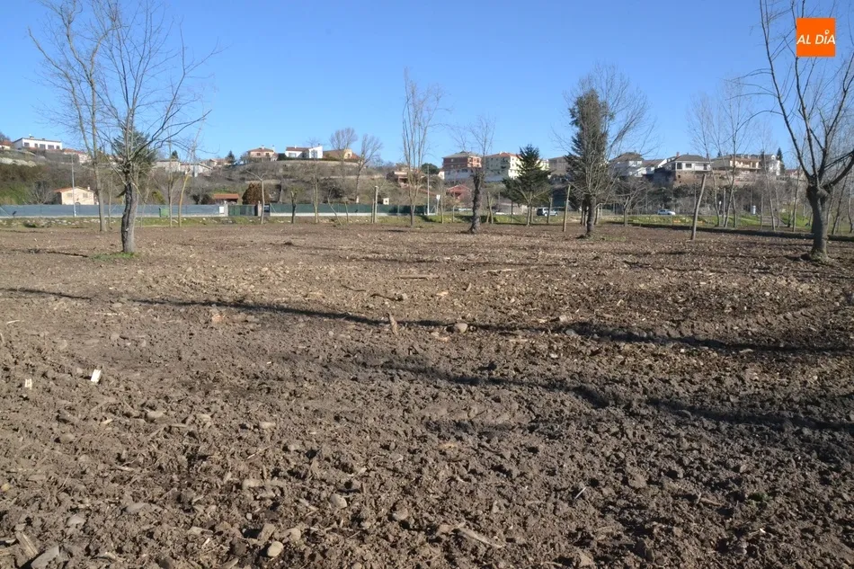 Foto 8 - Esparcidos 12 camiones de tierra vegetal por la Alameda Vieja  
