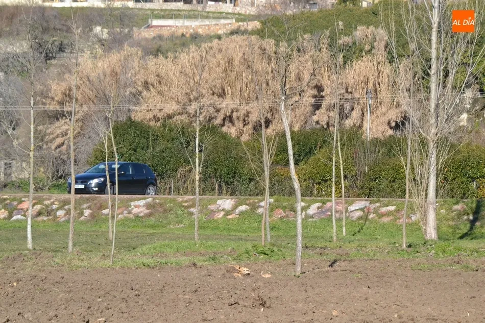 Foto 7 - Esparcidos 12 camiones de tierra vegetal por la Alameda Vieja  