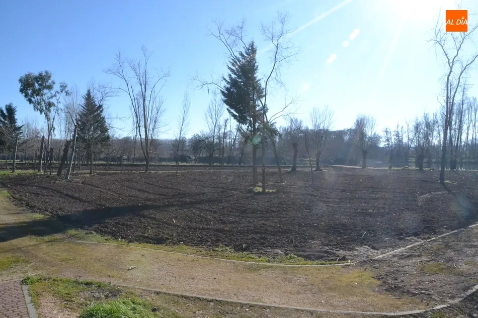 Foto 6 - Esparcidos 12 camiones de tierra vegetal por la Alameda Vieja  