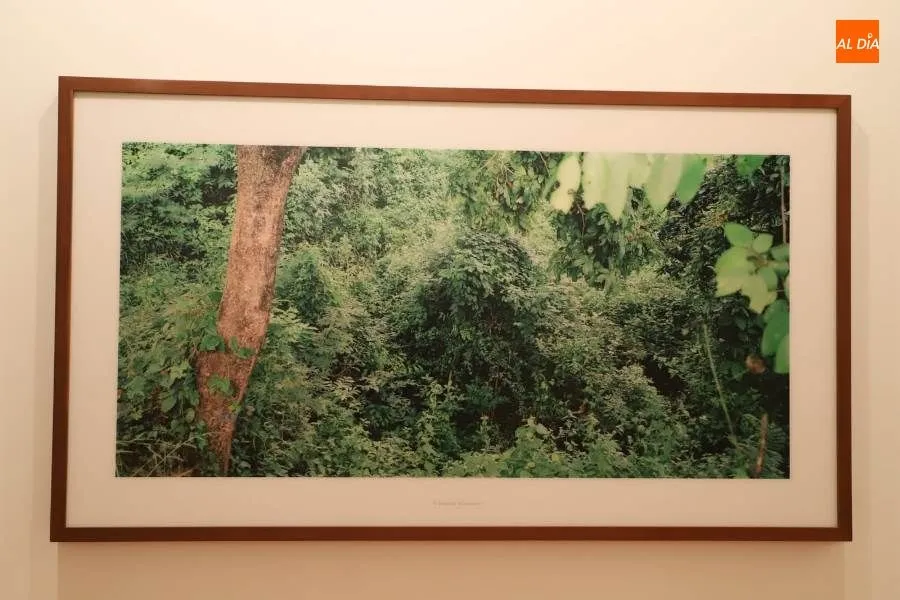 Foto 7 - Los artistas Mar&iacute;a Bleda y Jos&eacute; M&ordf; Rosa reflexionan sobre la evoluci&oacute;n humana en &lsquo;Origen&rsquo;