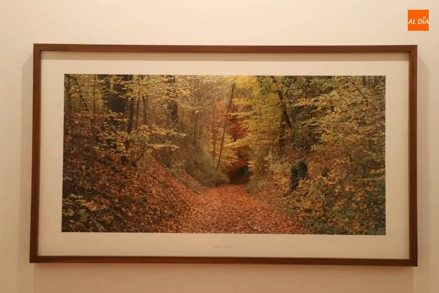 Foto 4 - Los artistas Mar&iacute;a Bleda y Jos&eacute; M&ordf; Rosa reflexionan sobre la evoluci&oacute;n humana en &lsquo;Origen&rsquo;