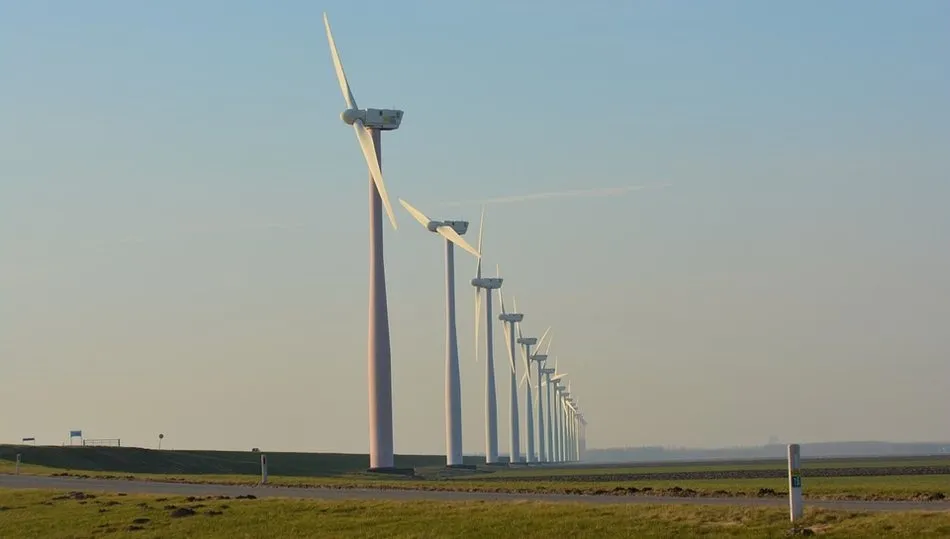 Además del empleo directo durante las obras, el Ayuntamiento recibirá nuevos ingresos que le permitirán crear más empleo y fijar población