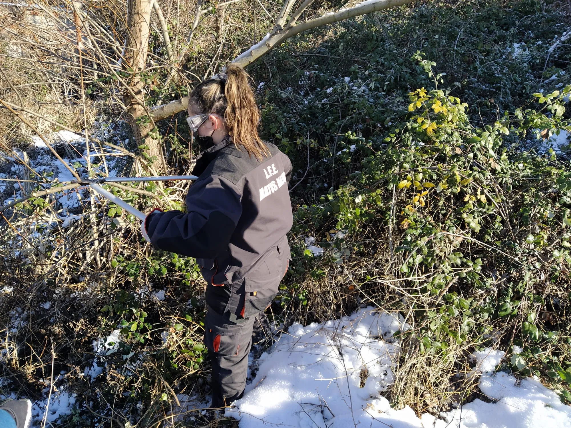 Un alumno del programa AFE Amatos Natura realiza tareas de poda