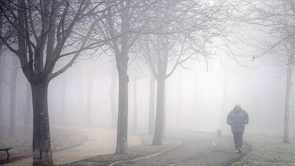 Jornada de niebla y bajas temperaturas