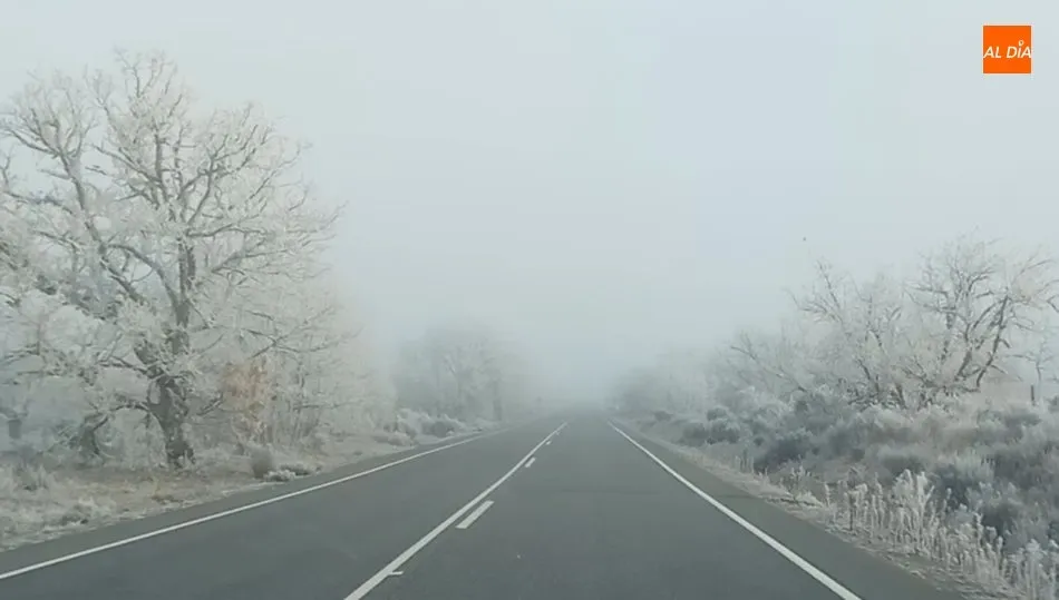 Espectacular cencellada en la comarca de Vitigudino  