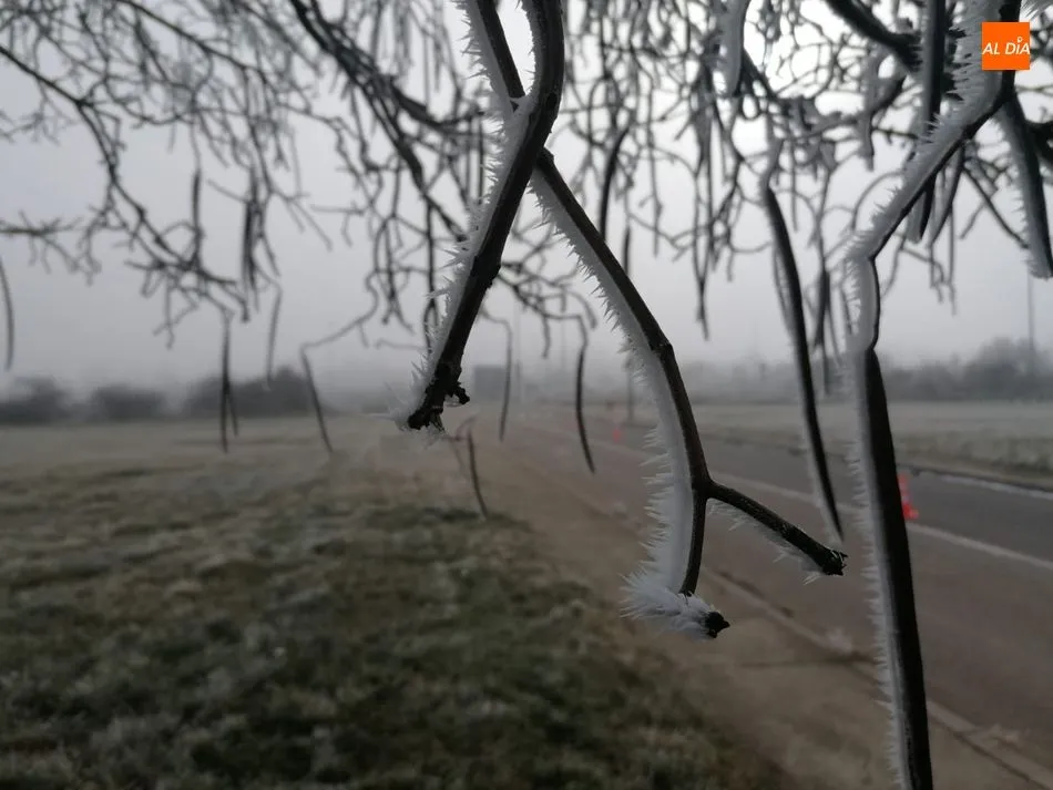 Foto 8 - Nueva alerta por bajas temperaturas en Salamanca que llegar&aacute; a -5 grados ma&ntilde;ana