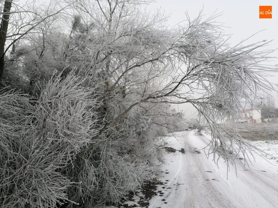 Foto 7 - Nueva alerta por bajas temperaturas en Salamanca que llegar&aacute; a -5 grados ma&ntilde;ana