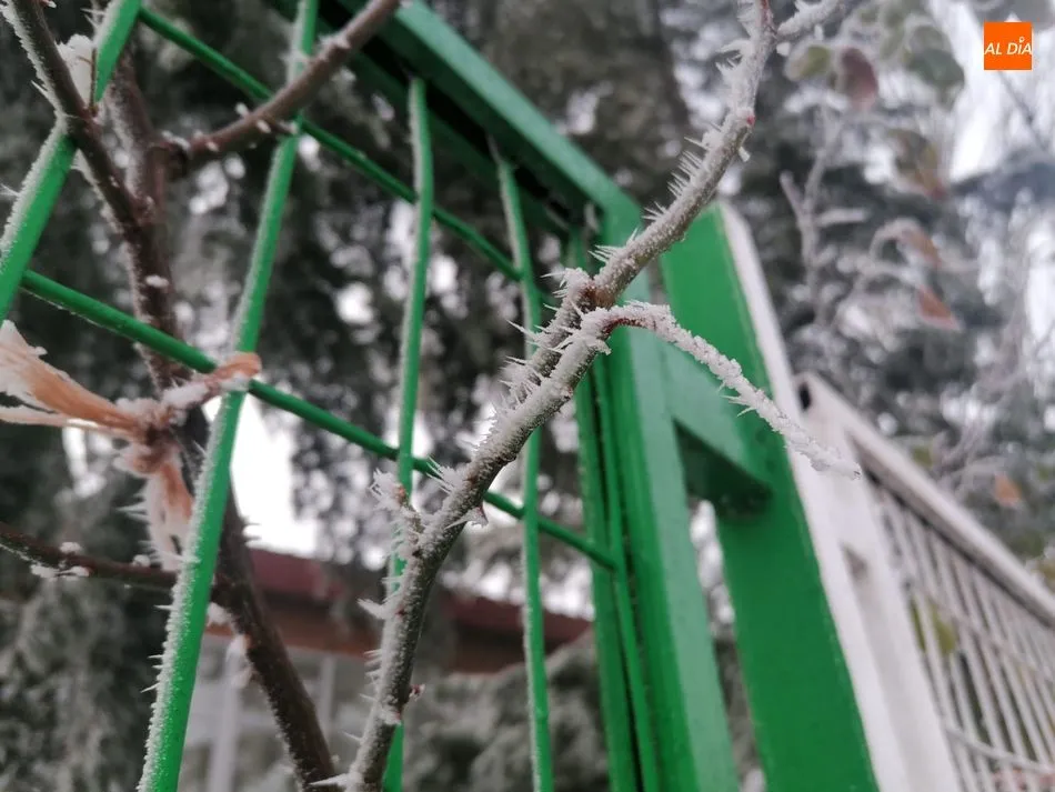 Foto 6 - Nueva alerta por bajas temperaturas en Salamanca que llegar&aacute; a -5 grados ma&ntilde;ana