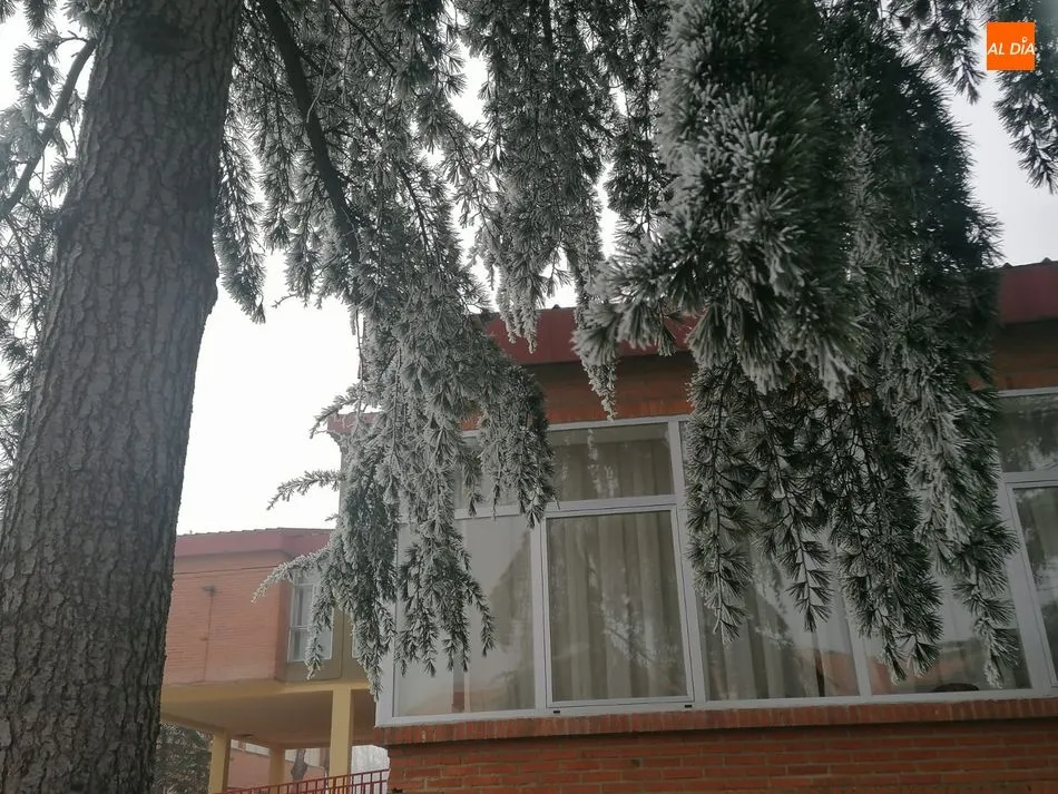 Foto 5 - Nueva alerta por bajas temperaturas en Salamanca que llegar&aacute; a -5 grados ma&ntilde;ana