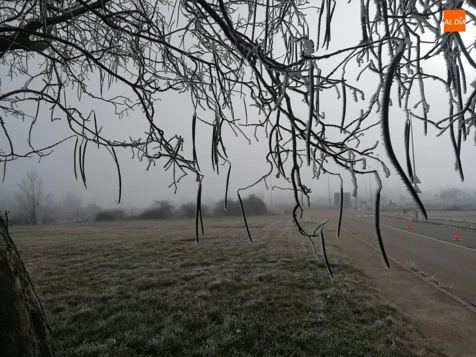 Foto 4 - Nueva alerta por bajas temperaturas en Salamanca que llegar&aacute; a -5 grados ma&ntilde;ana