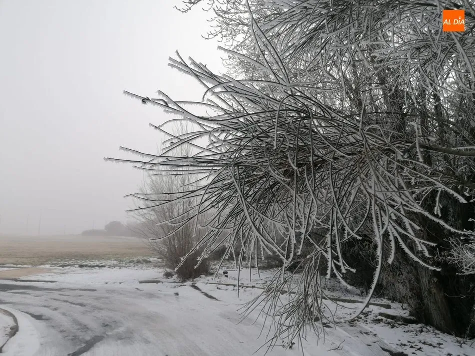Foto 3 - Nueva alerta por bajas temperaturas en Salamanca que llegar&aacute; a -5 grados ma&ntilde;ana