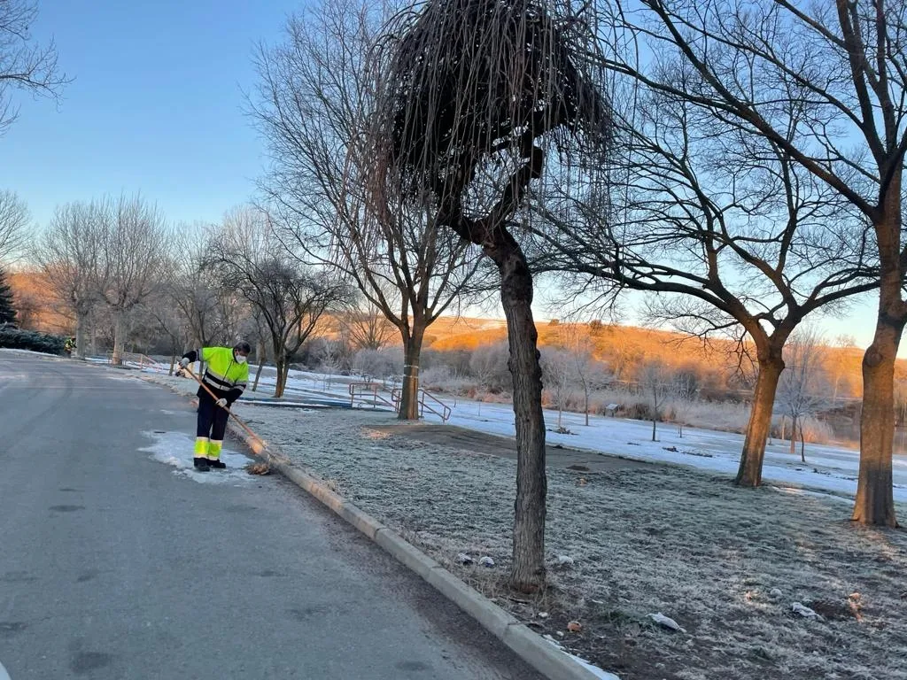 Labores de mantenimiento en la Dehesa