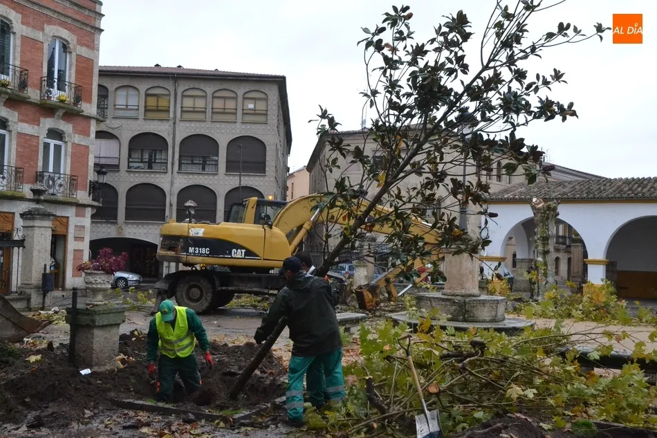 El Ayuntamiento convoca la oposición para cubrir una plaza de peón de jardinería  