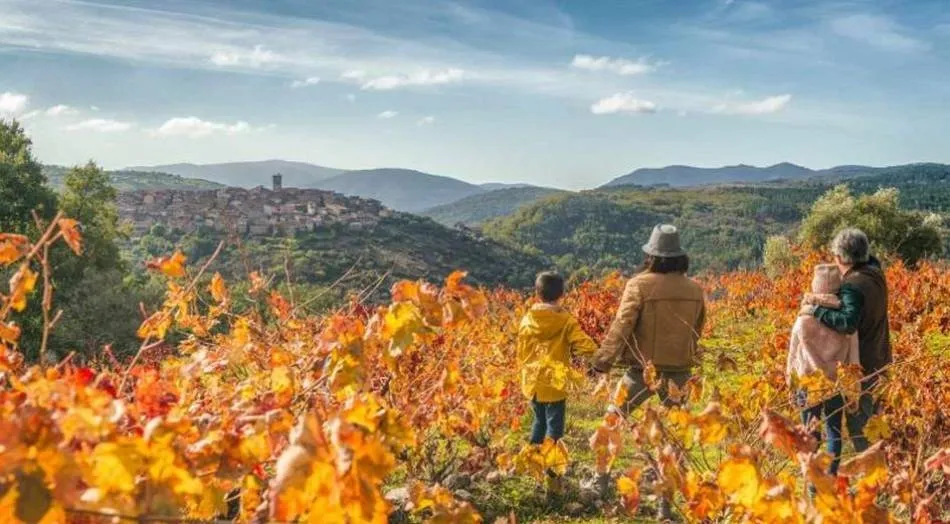 Imagen promocional de la Ruta del vino de la Sierra de Francia - Archivo