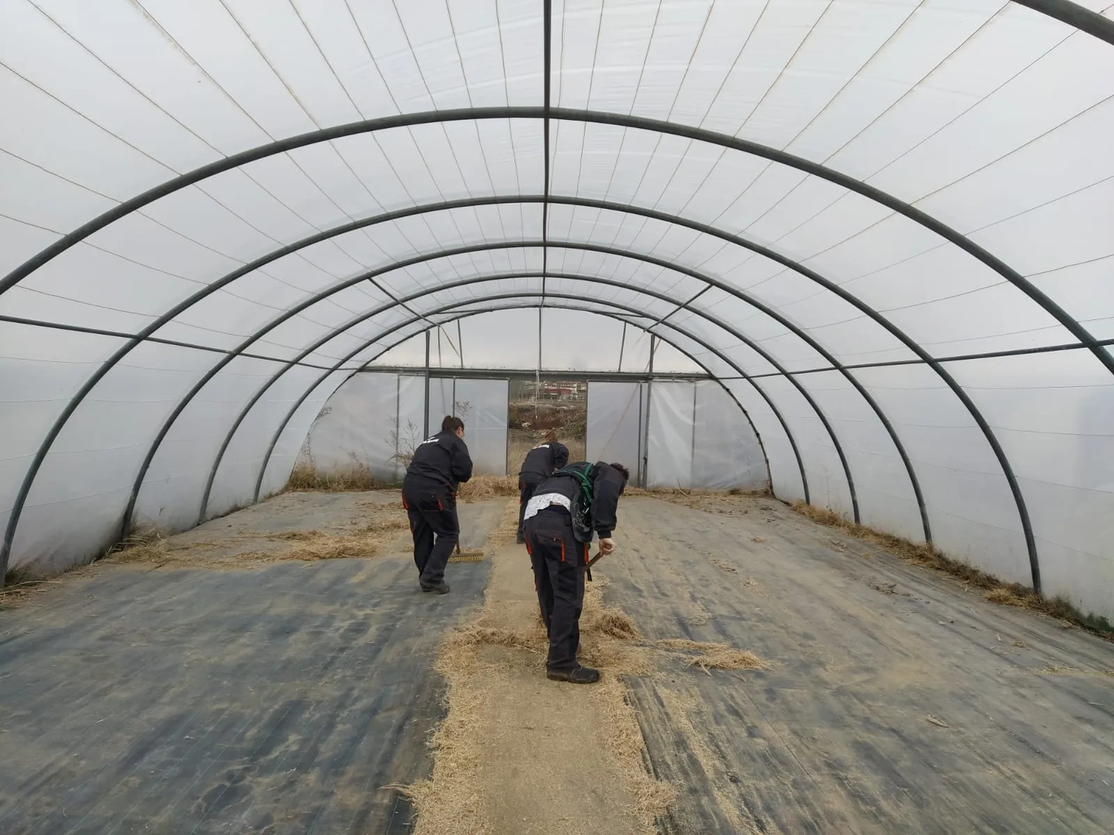 Los participantes del AFE Amatos Natura actualmente se encuentran realizando trabajos en el vivero municipal de La Dehesa