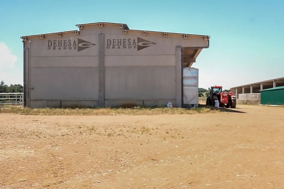 Foto 2 - El Grupo Dehesa Grande cierra 2020 con una facturaci&oacute;n de 37&nbsp; millones de euros  