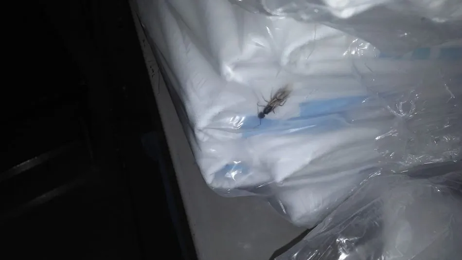 Foto 5 - La recogida de ropa en el Hospital &ldquo;tiene su proceso, no puedes salir de una planta Covid y...