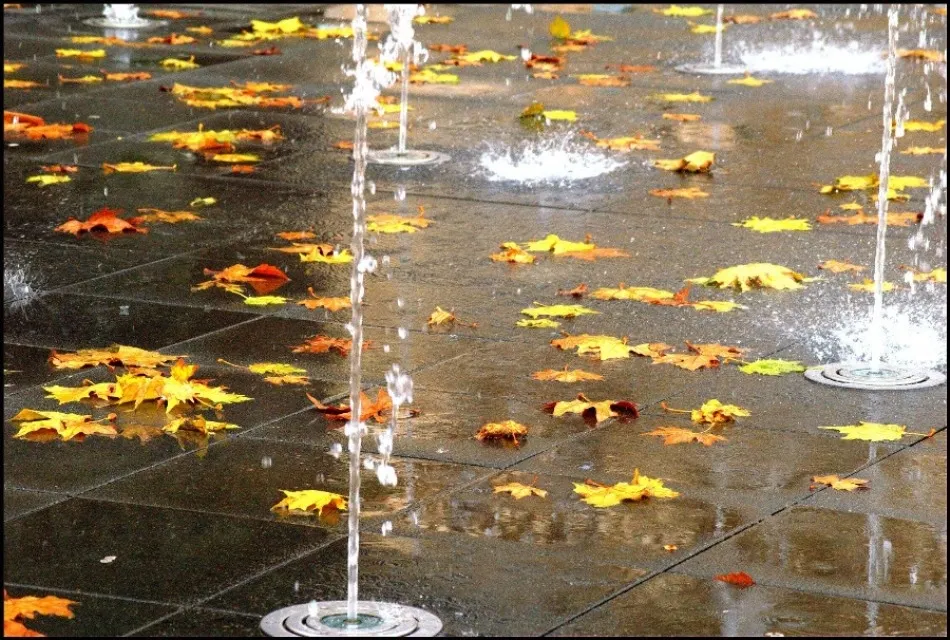 Foto 8 - La Alamedilla, el jard&iacute;n de la alegr&iacute;a