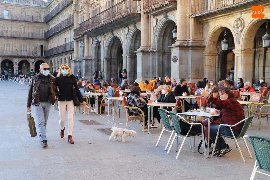 Foto 3 - El &lsquo;veranillo de enero&rsquo; anima las terrazas en Salamanca&nbsp;