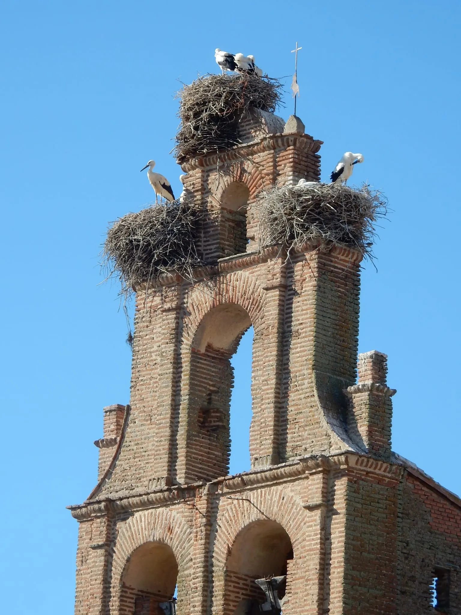 Foto 3 - &lsquo;Por San Blas, la cig&uuml;e&ntilde;a ver&aacute;s&rsquo;, recuerdo a Jos&eacute; Manuel Garrote Prieto