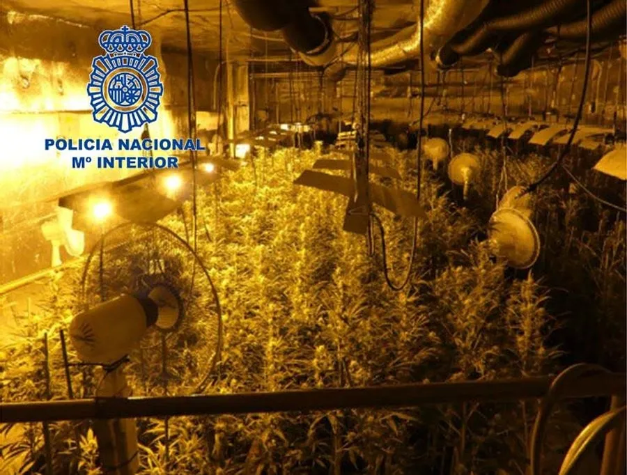 Foto 2 - Un total de 36 detenidos para desarticular una banda de traficantes de droga en Salamanca, C&aacute;ceres ...