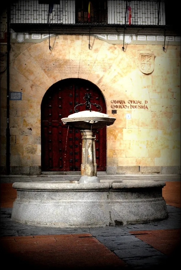 Foto 2 - La recoleta plaza de los sexmeros
