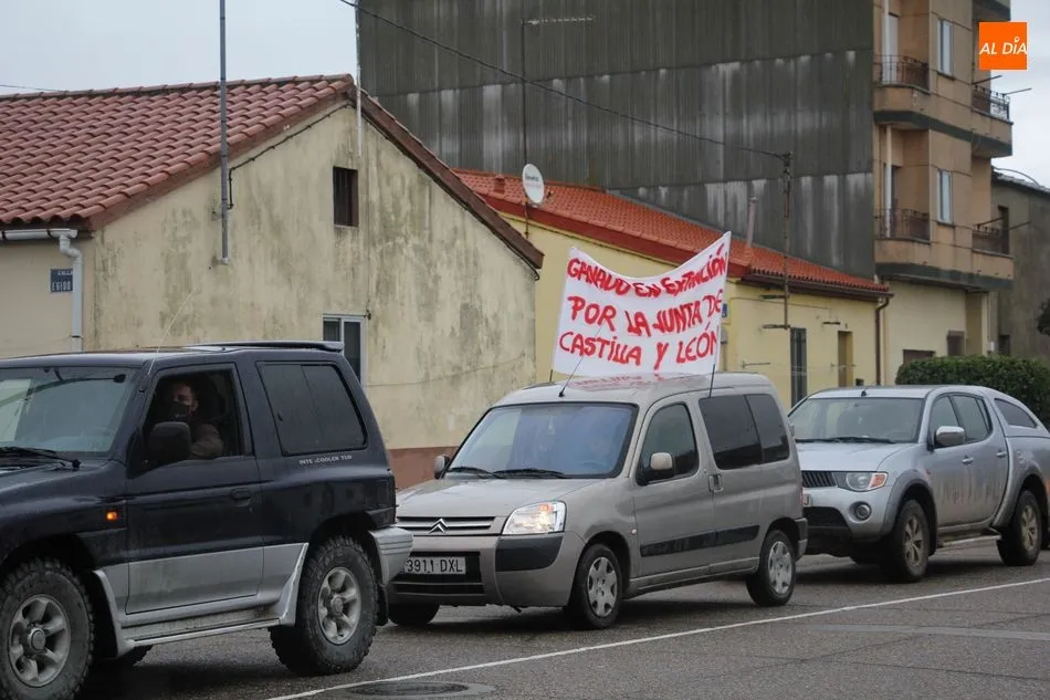 Foto 3 - Contundente respuesta de los ganaderos de la zona de Vitigudino por las medidas contra la...