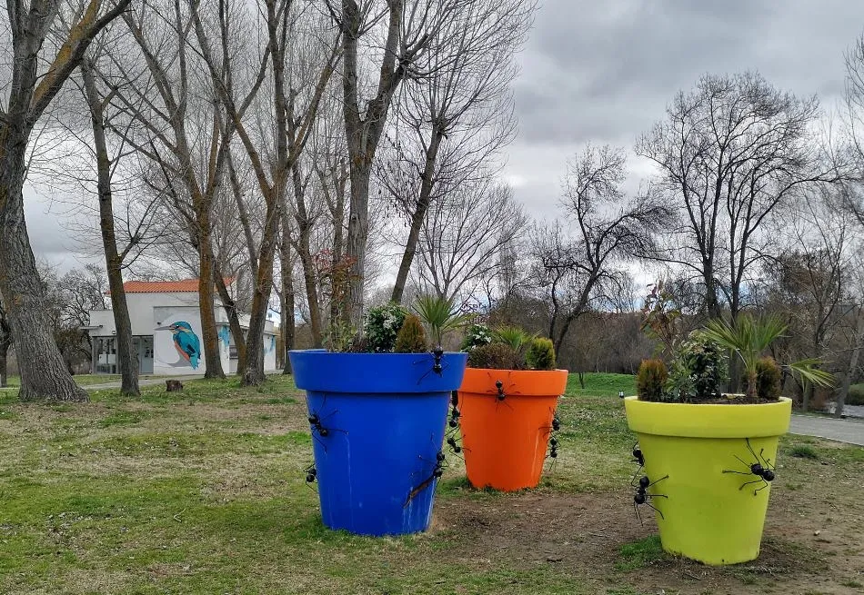 Marabunta… cultural