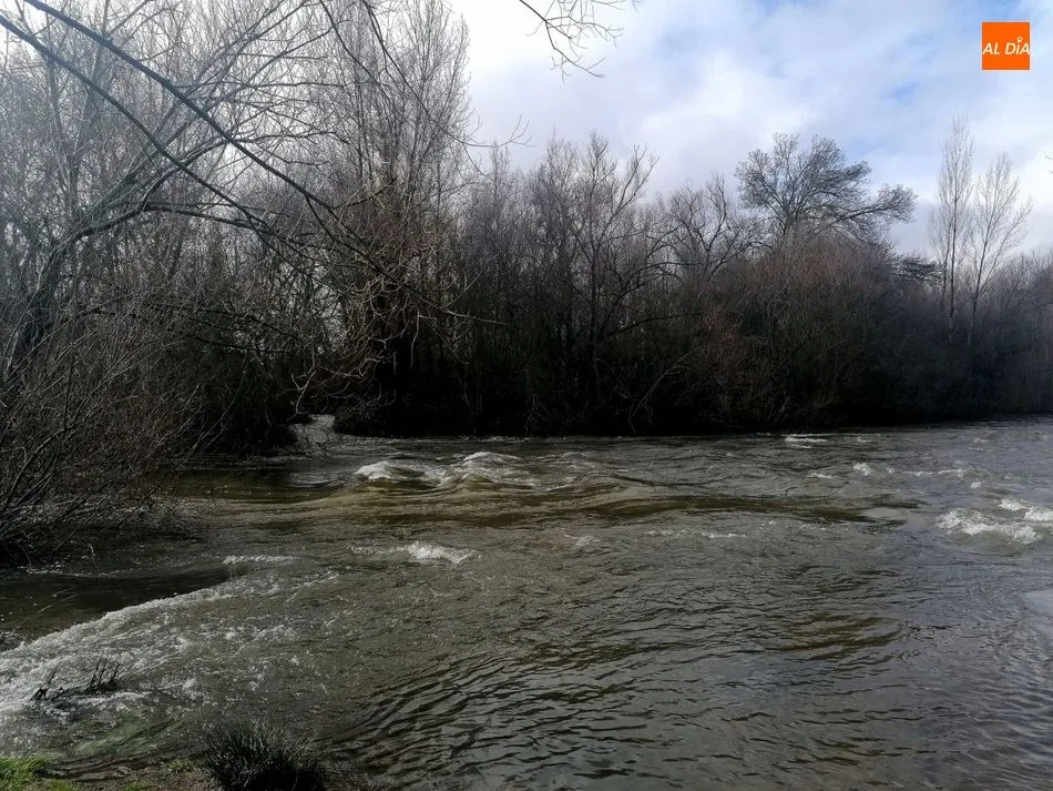 Foto 4 - El caudal del r&iacute;o Tormes aumenta hasta 60 m3/s gracias a las &uacute;ltimas precipitaciones