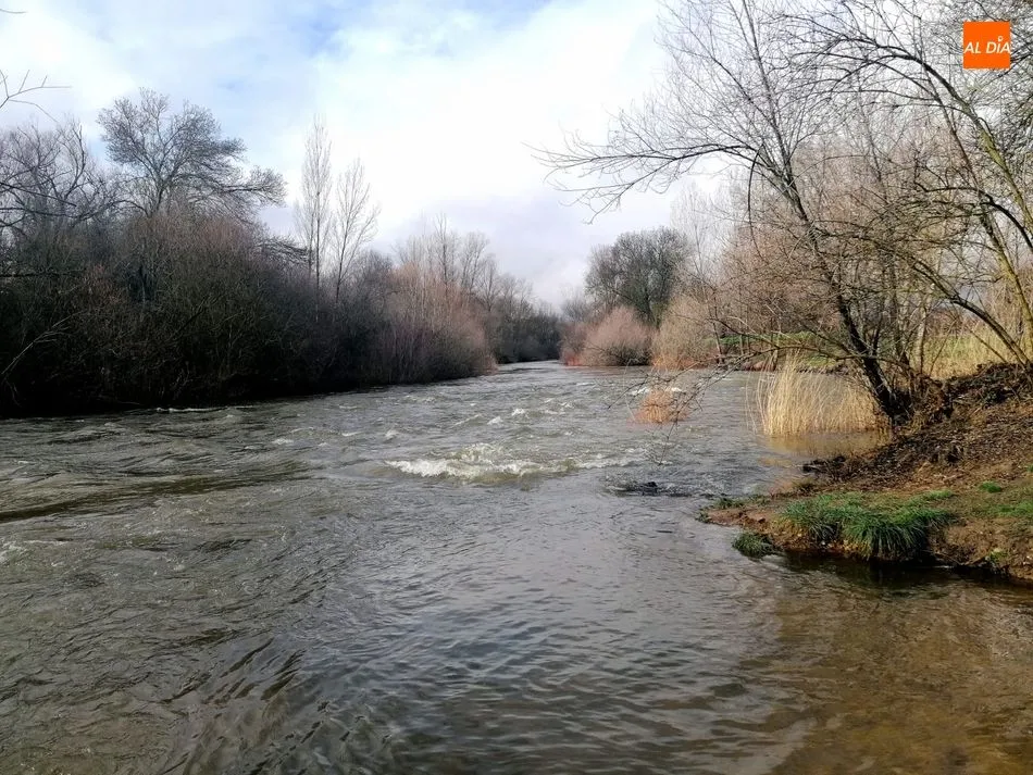 Foto 3 - El caudal del r&iacute;o Tormes aumenta hasta 60 m3/s gracias a las &uacute;ltimas precipitaciones