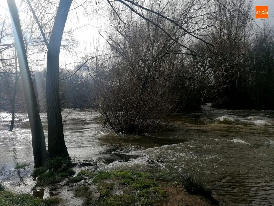 Foto 2 - El caudal del r&iacute;o Tormes aumenta hasta 60 m3/s gracias a las &uacute;ltimas precipitaciones