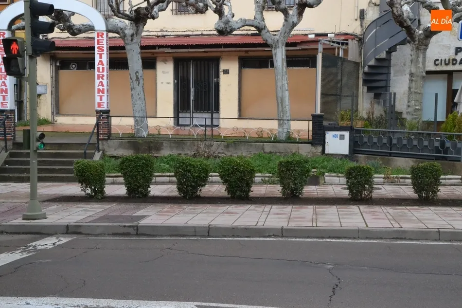 Foto 3 - Retirada de la copa de uno de los &aacute;rboles m&aacute;s altos de La Florida una pesada rama que corr&iacute;a...