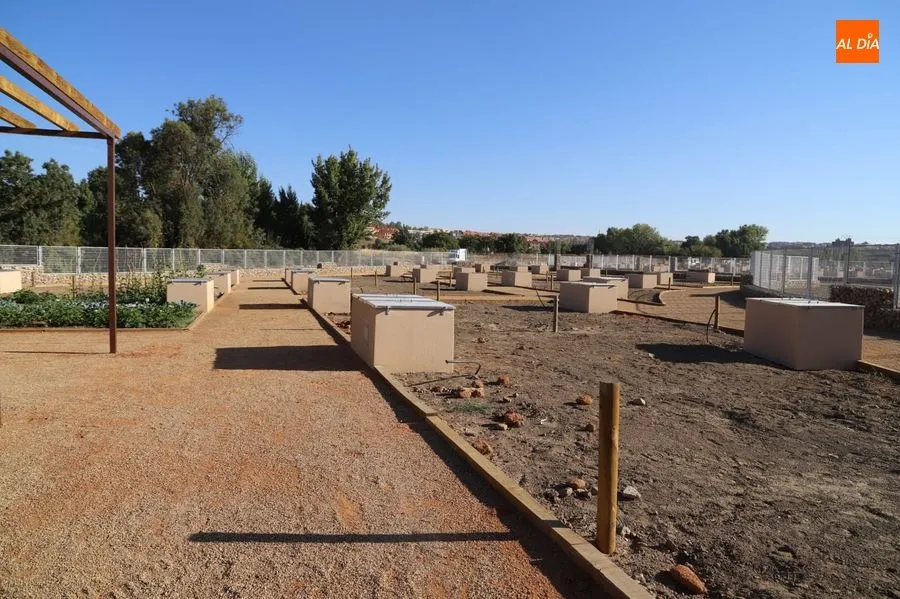 Huertos urbanos ecológicos que se han construido en la ribera del río Tormes en Salas Bajas, entre los barrios de Chamberí y Tejares