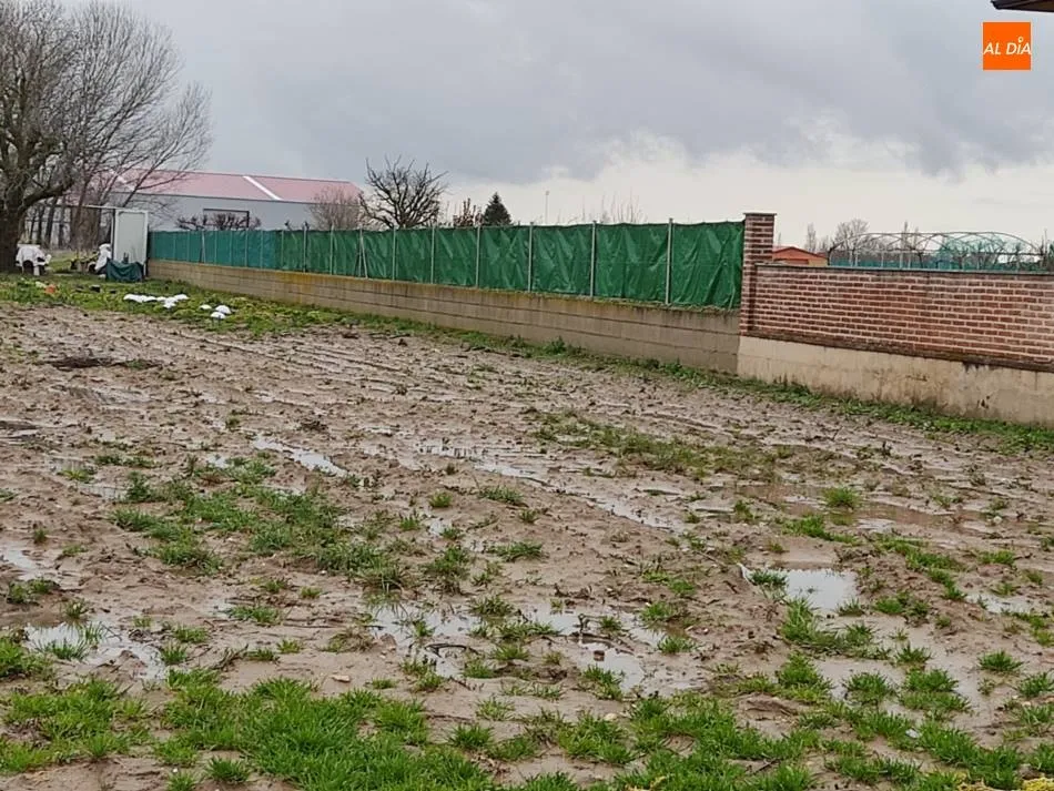 Parcela agrícola en Cantalpino
