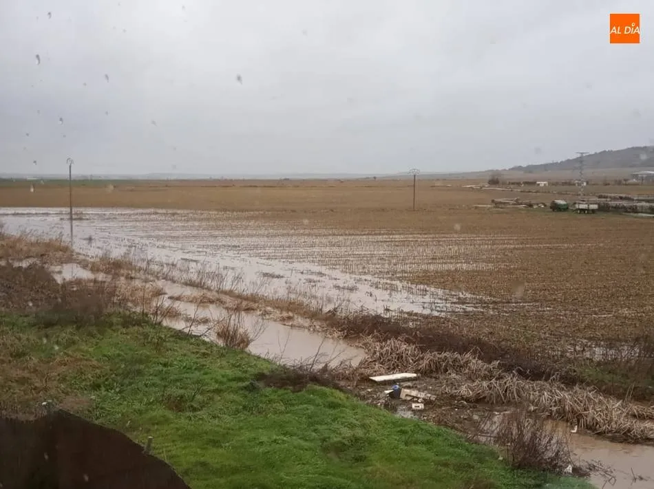 Varias viviendas de Babilafuente se ven afectadas por inundaciones en los aledaños  